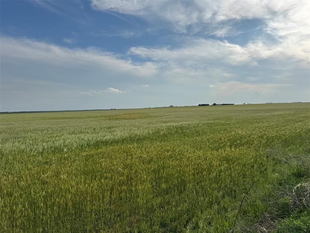 75.41 acres in Baylor County featured view