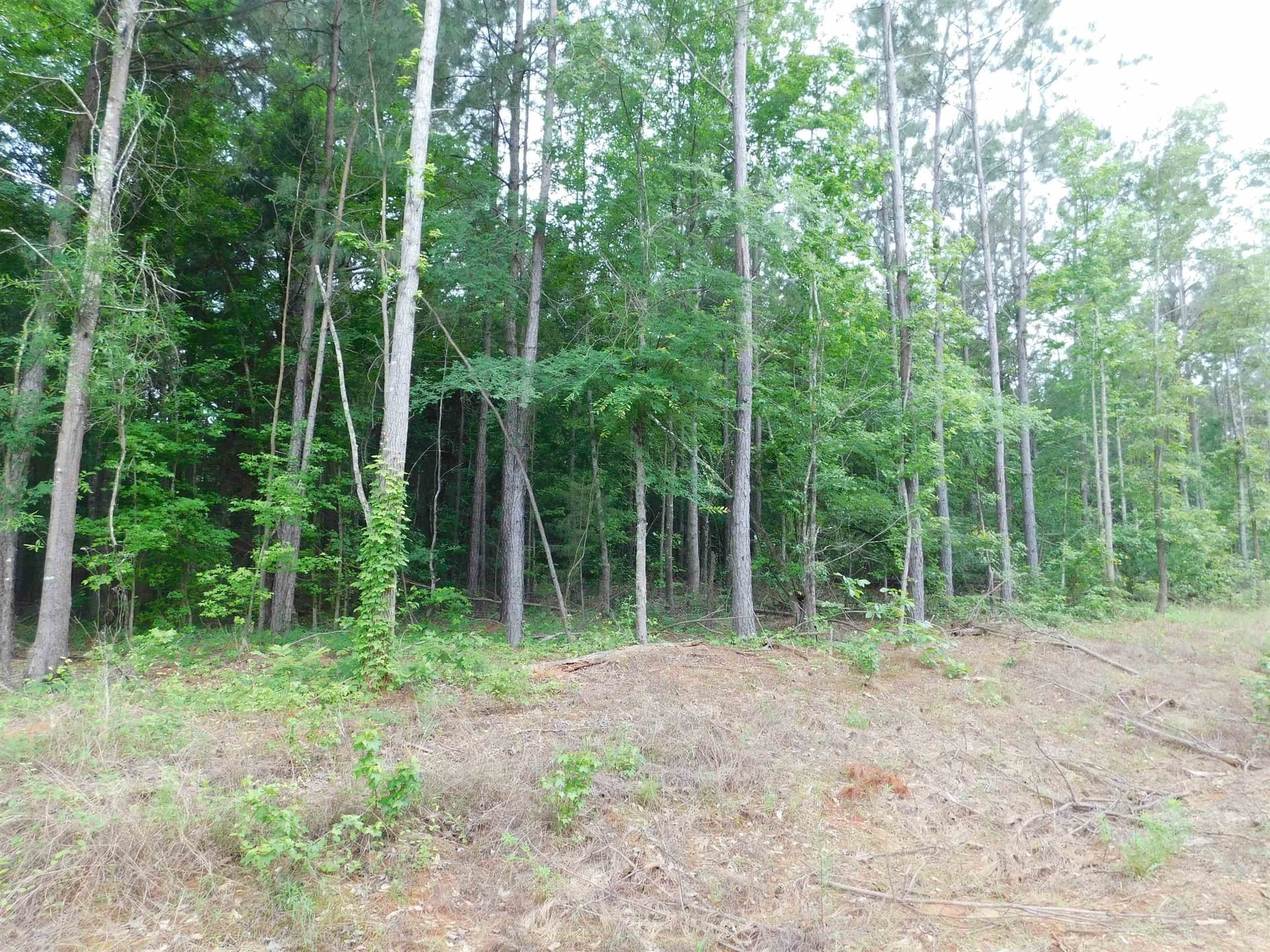 0.67 acres in Texas County - photo 2
