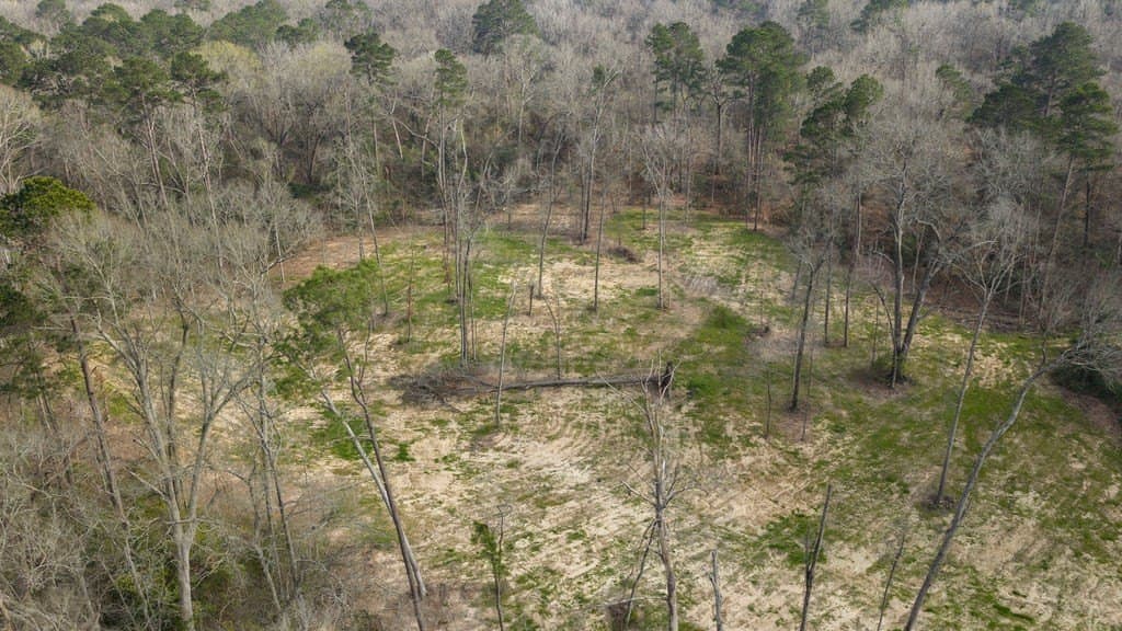 1.31 acres in Texas County - photo 28