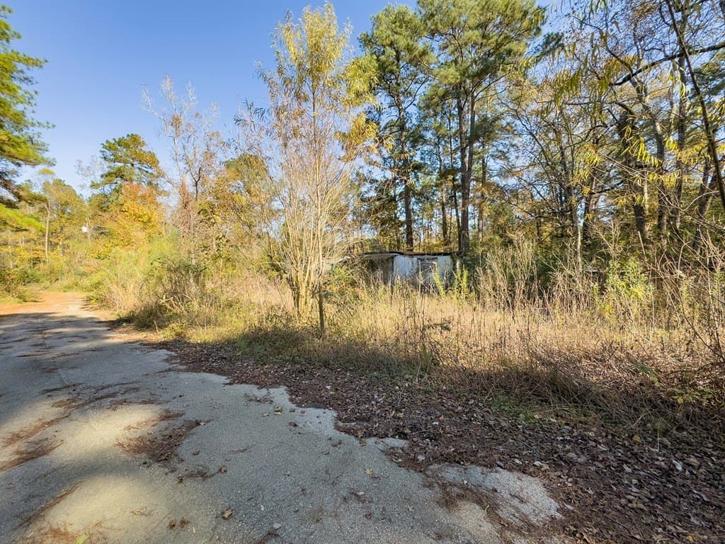 0.23 acres in Texas County - photo 6