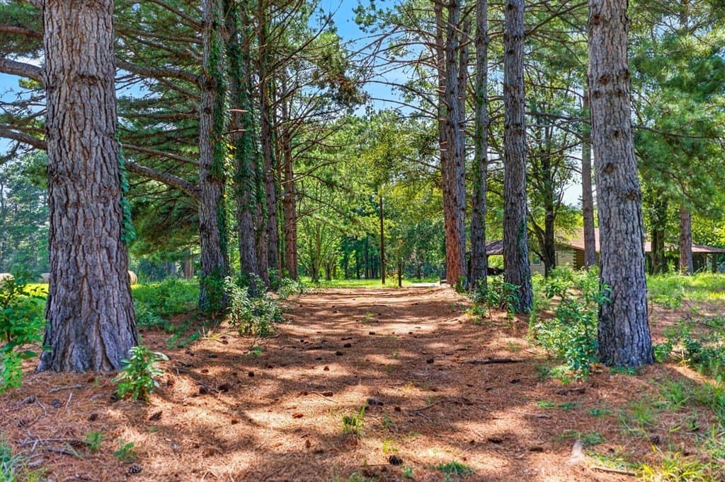 10.5 acres in Texas County gallery image 2