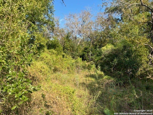 0.78 acres in Bexar County gallery image 2