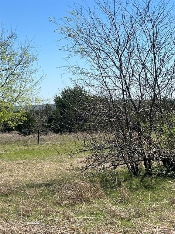 2.29 acres in Parker County gallery image 4