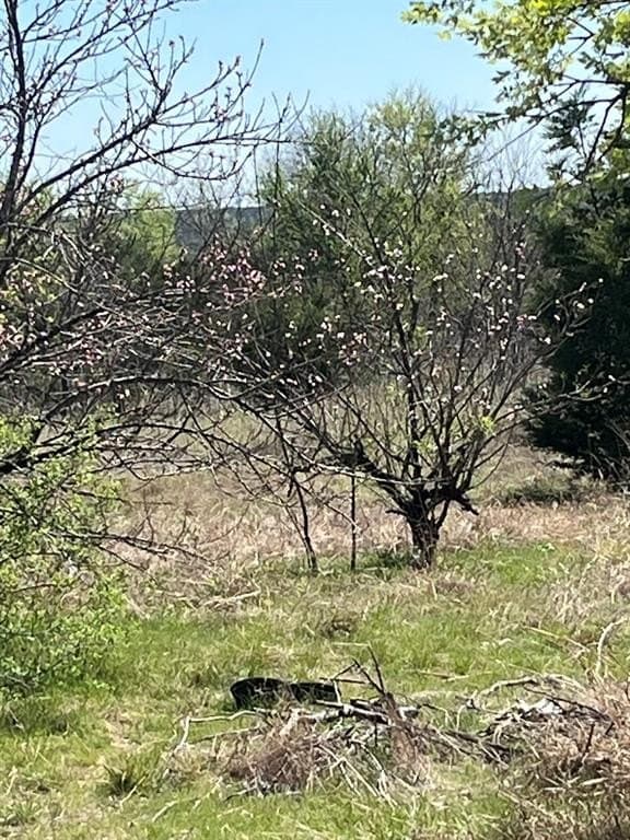2.29 acres in Parker County featured view