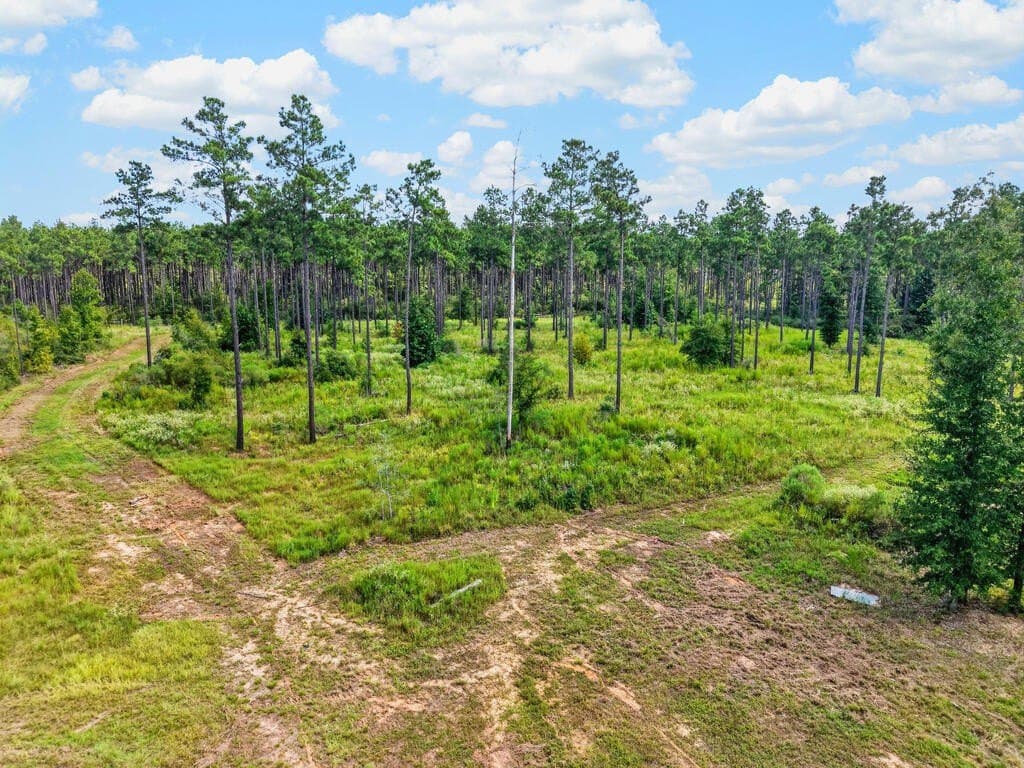 22.52 acres in Texas County - photo 31