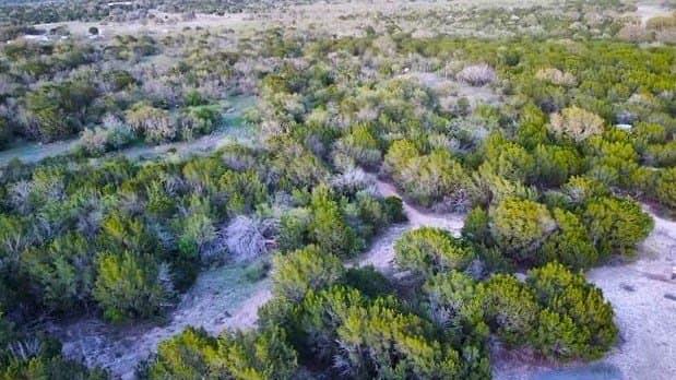 25 acres in Kimble County - photo 30