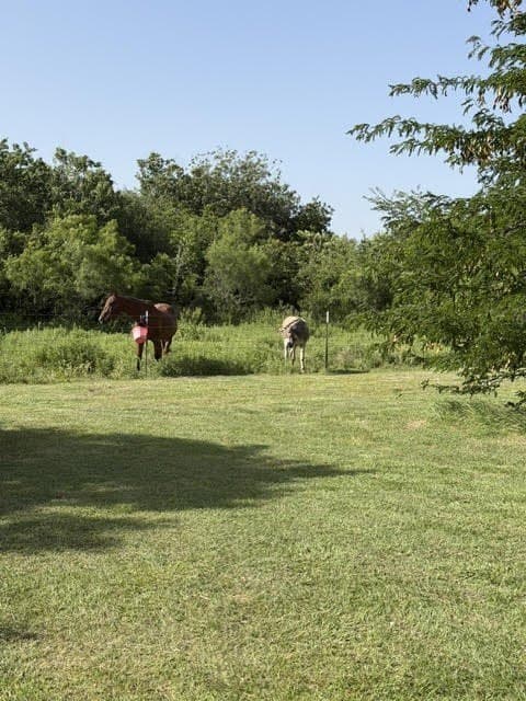 10.01 acres in Wise County - photo 16