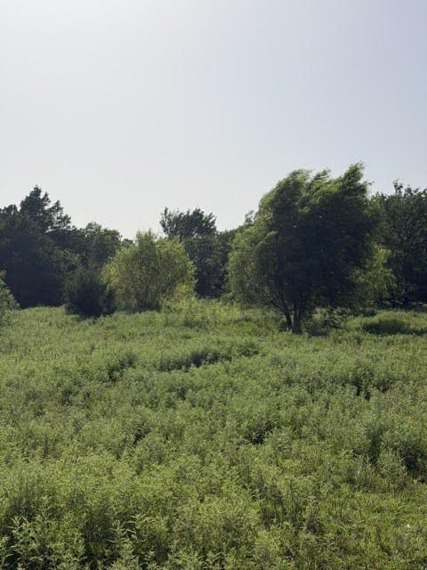 10.01 acres in Wise County - photo 17