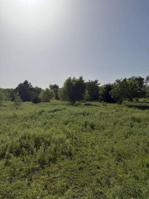 10.01 acres in Wise County - photo 15