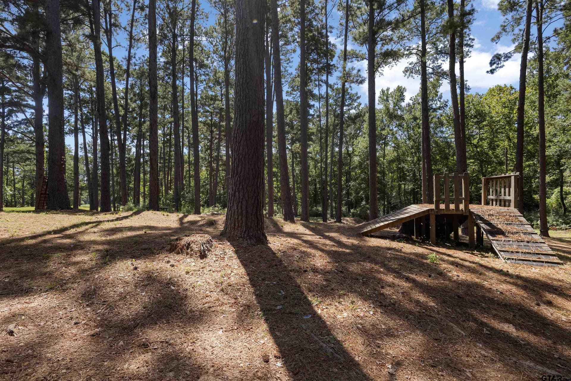 112.24 acres in Anderson County - photo 25