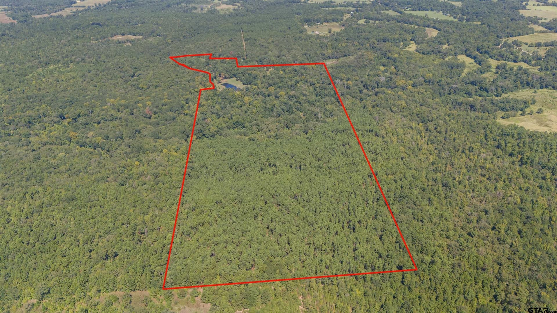 112.24 acres in Anderson County - photo 35