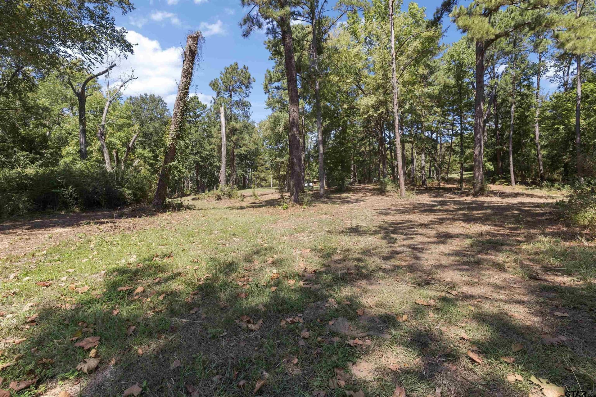 112.24 acres in Anderson County - photo 29