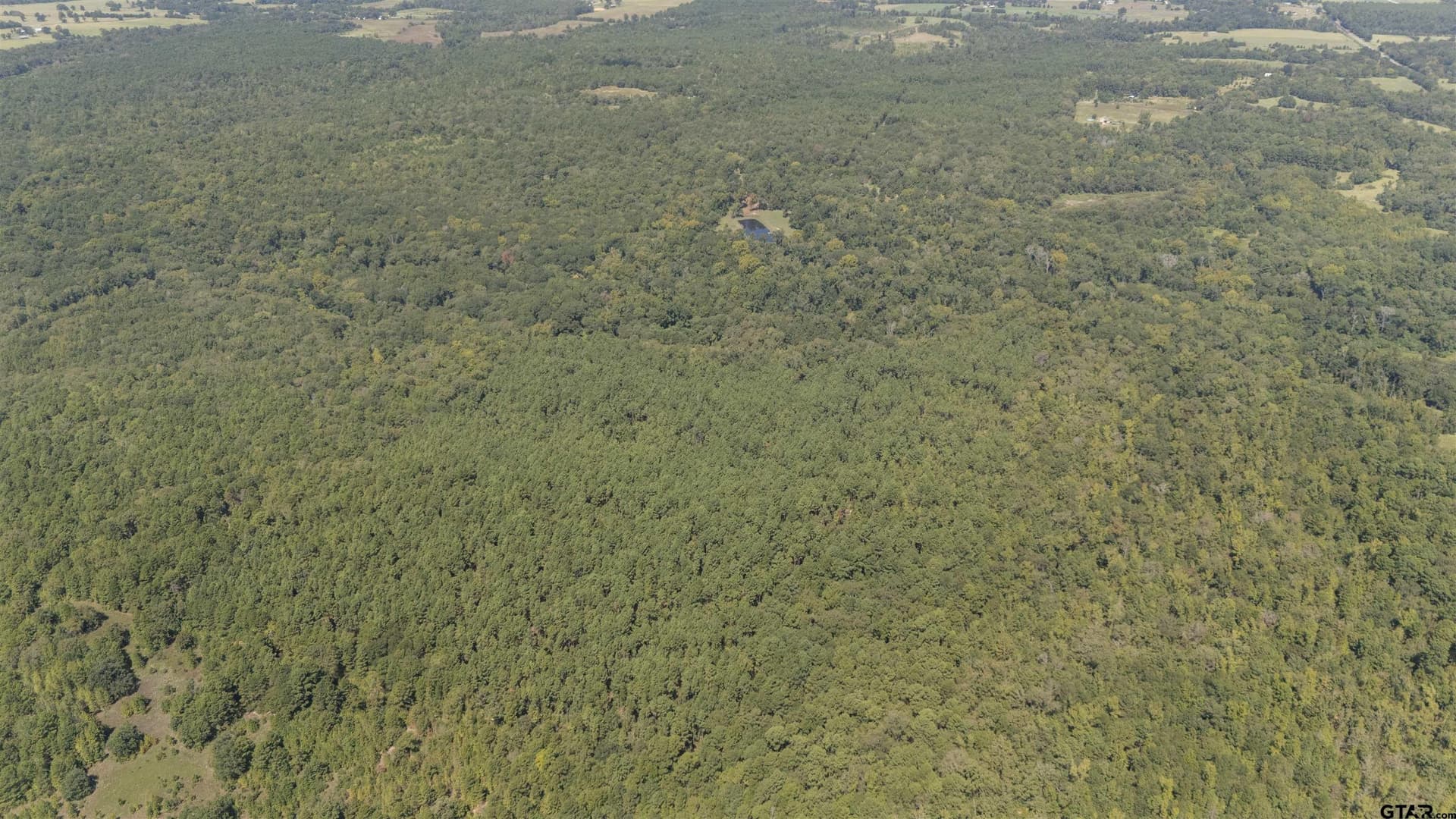 112.24 acres in Anderson County - photo 40
