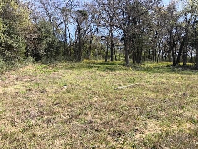 5.58 acres in Robertson County - photo 18