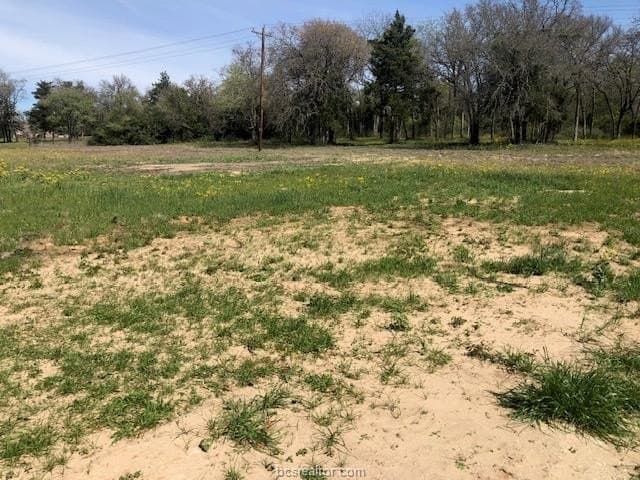 5.58 acres in Robertson County gallery image 3