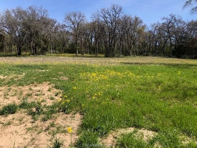5.58 acres in Robertson County featured view