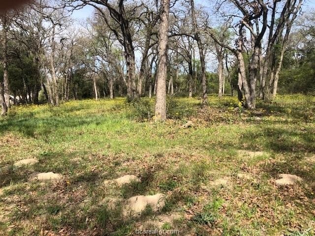 5.58 acres in Robertson County - photo 11