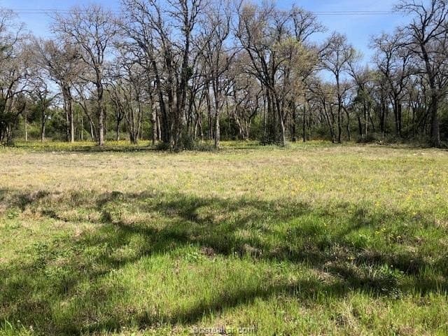 5.58 acres in Robertson County - photo 7