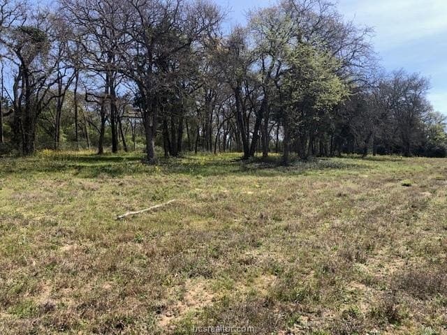 5.58 acres in Robertson County - photo 17