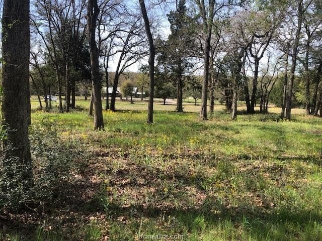 5.58 acres in Robertson County - photo 13