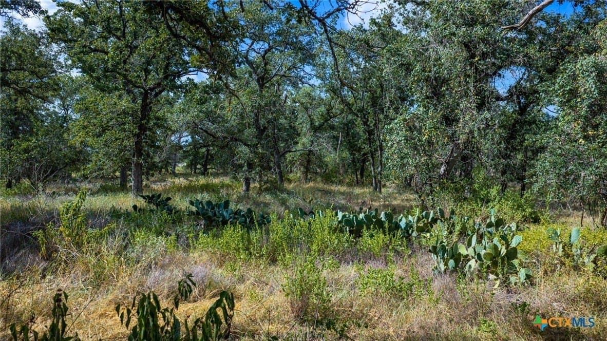 23.63 acres in Wilson County - photo 31