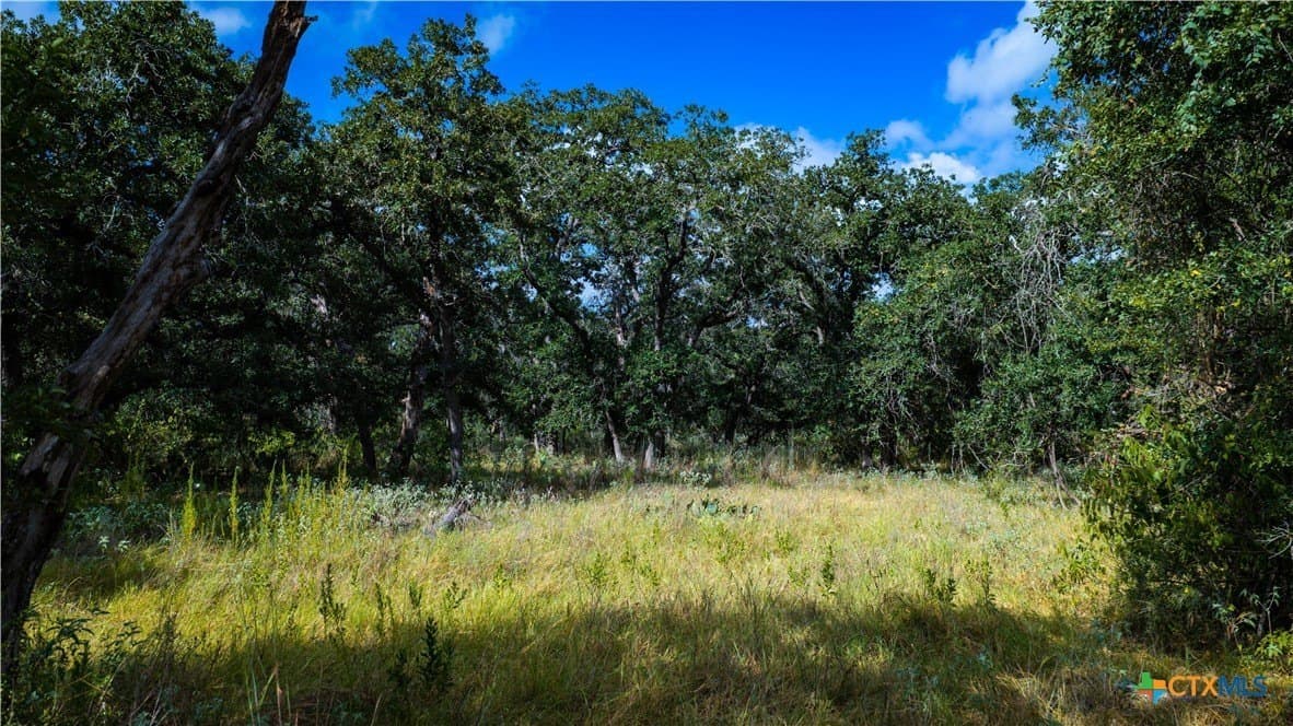 23.63 acres in Wilson County - photo 27