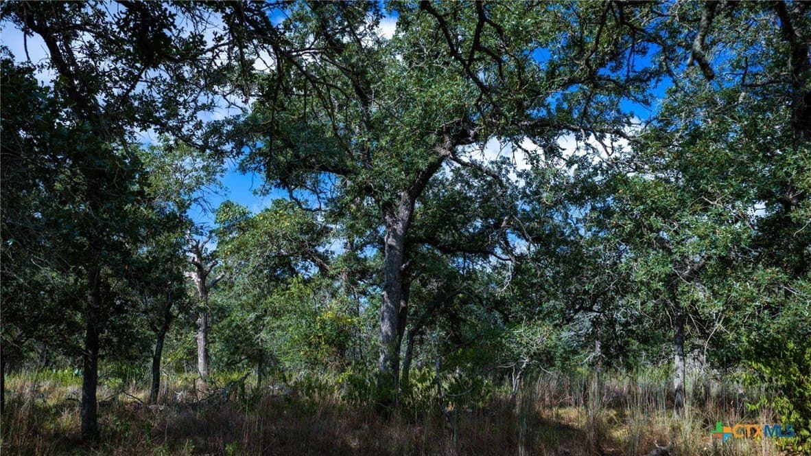 23.63 acres in Wilson County - photo 30