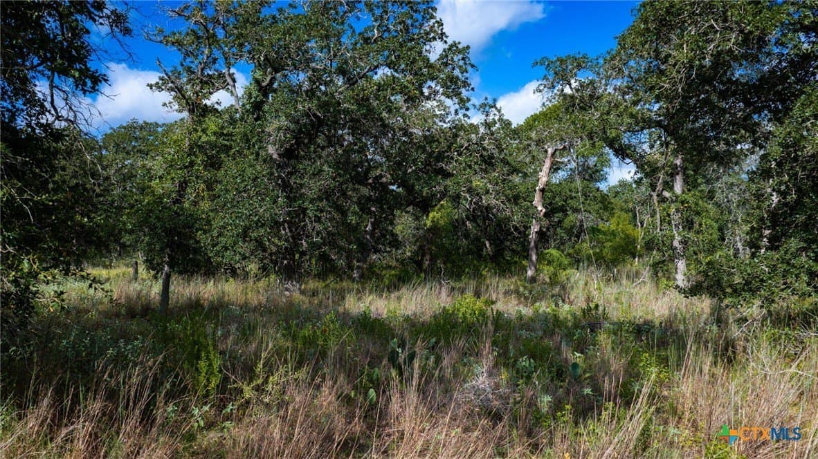 23.63 acres in Wilson County - photo 29