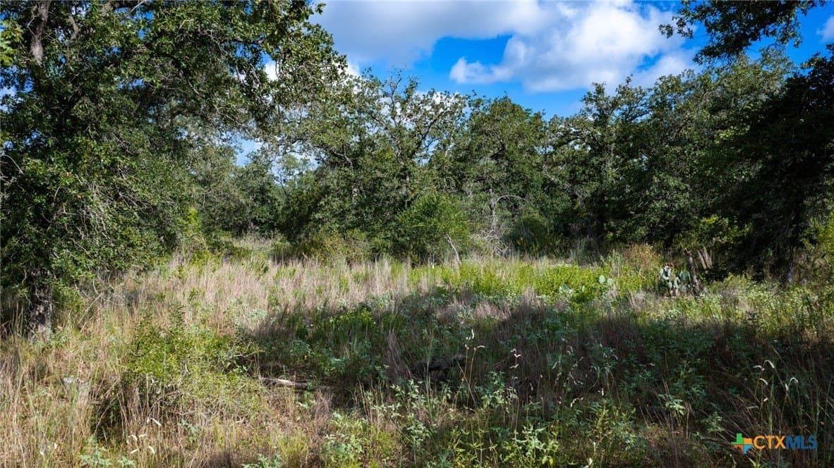 23.63 acres in Wilson County - photo 28