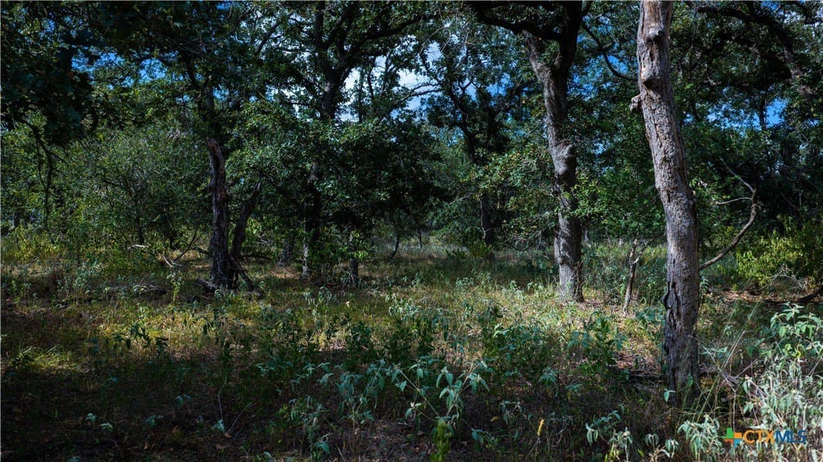 23.63 acres in Wilson County - photo 32