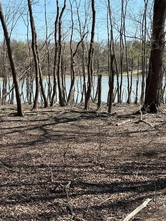 10 acres in Hill County gallery image 2