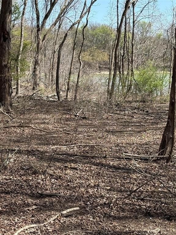 10 acres in Hill County gallery image 4
