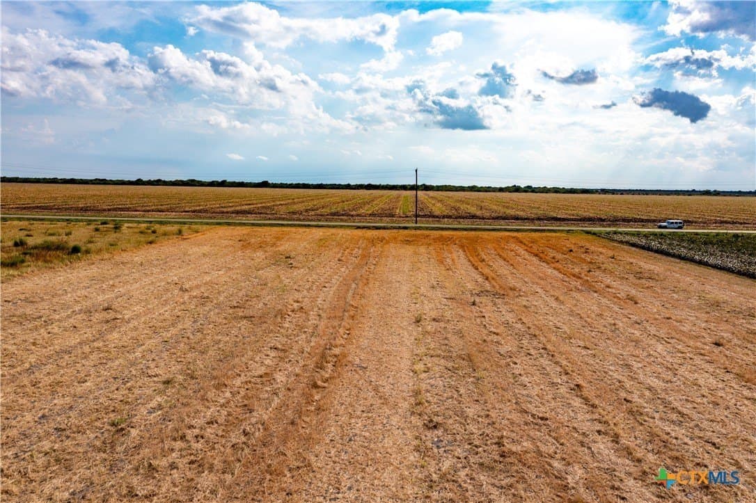 12.05 acres in Calhoun County gallery image 2