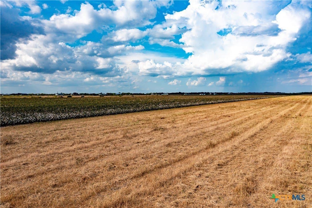 12.05 acres in Calhoun County gallery image 3