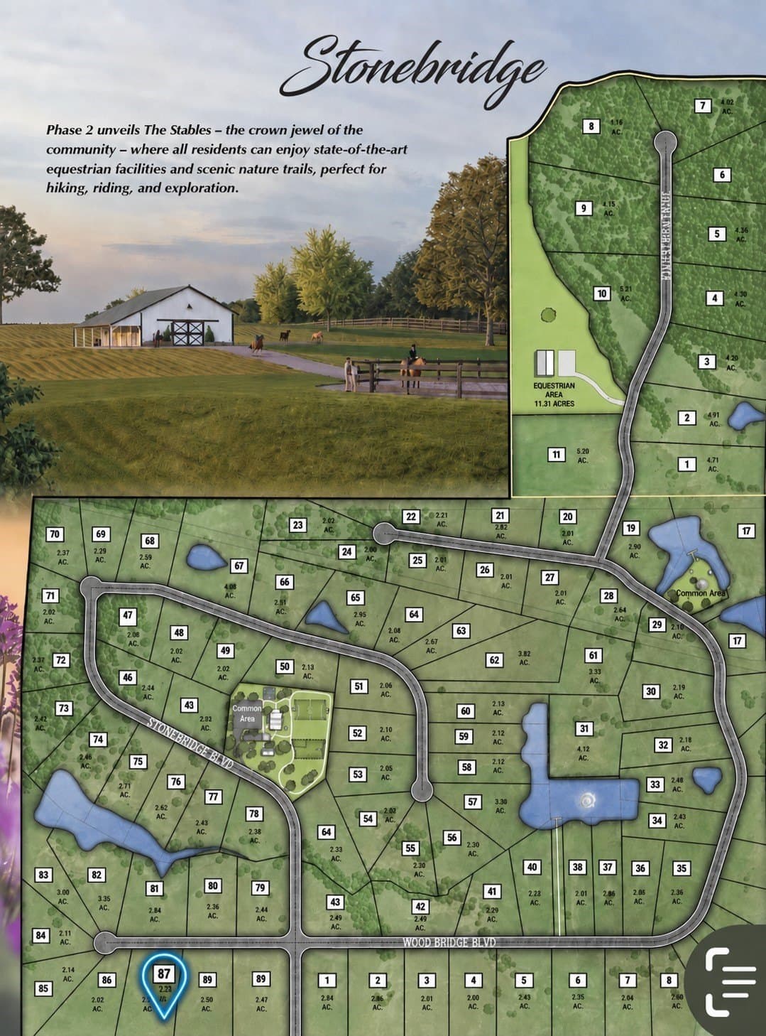 2.23 acres in Montague County - photo 10