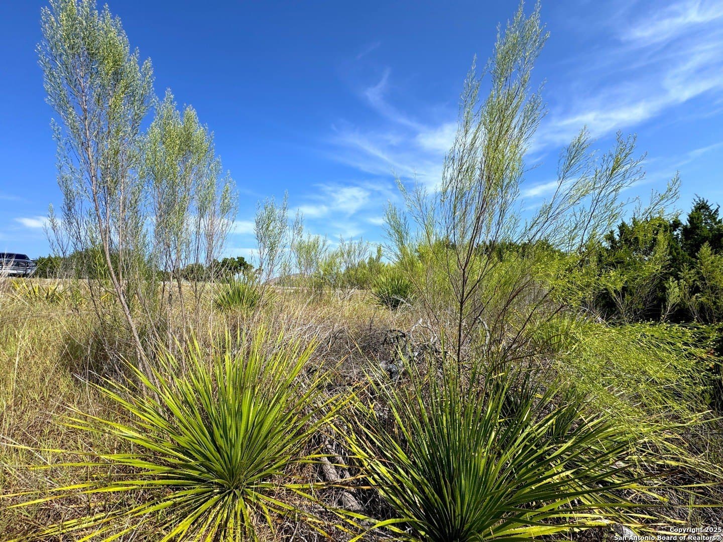 1.82 acres in Comal County - photo 10