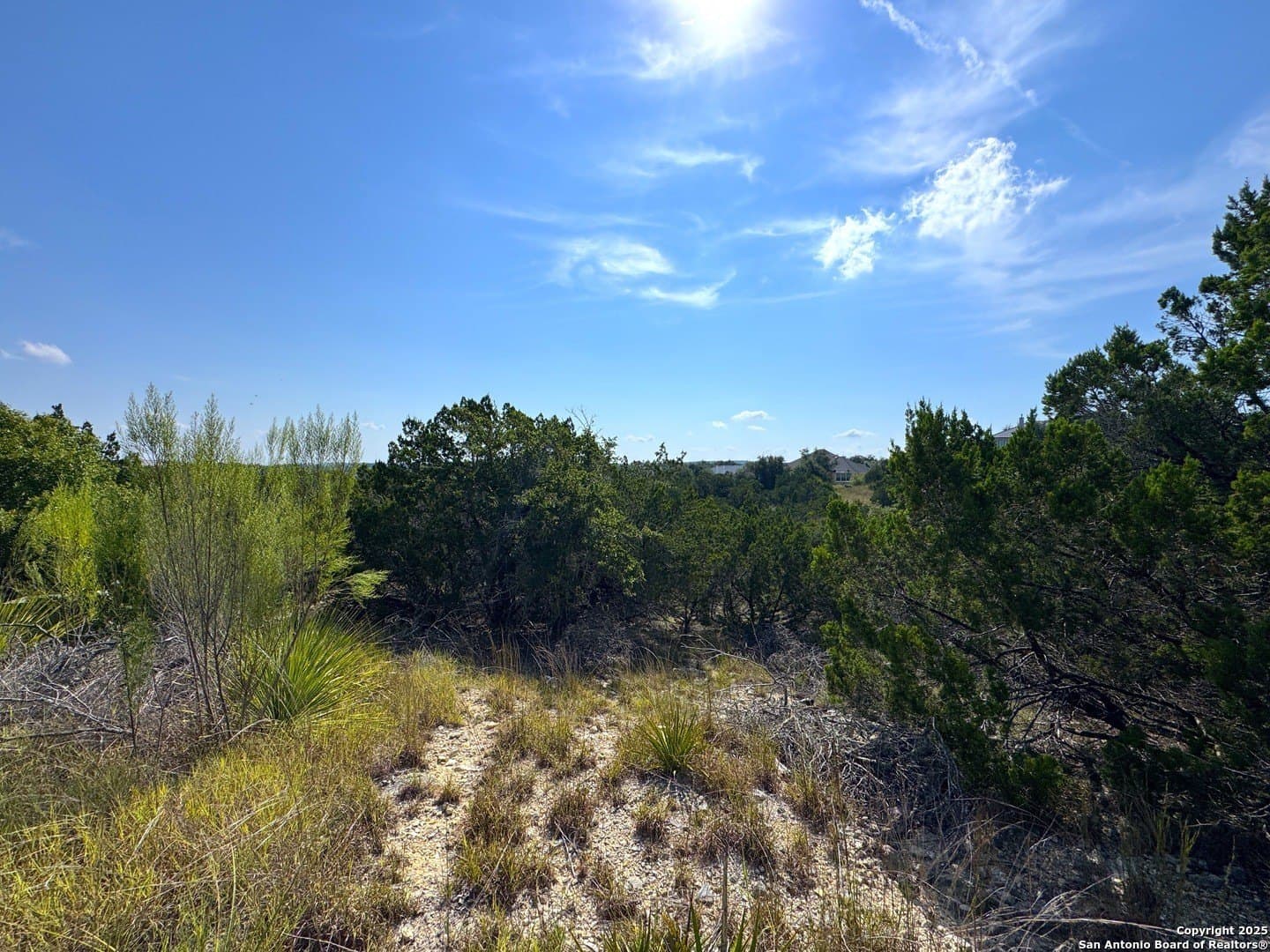 1.82 acres in Comal County - photo 8
