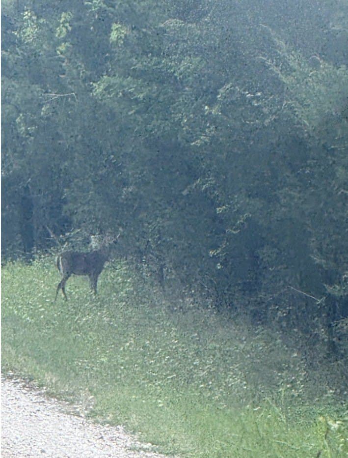 23.19 acres in Hunt County - photo 16