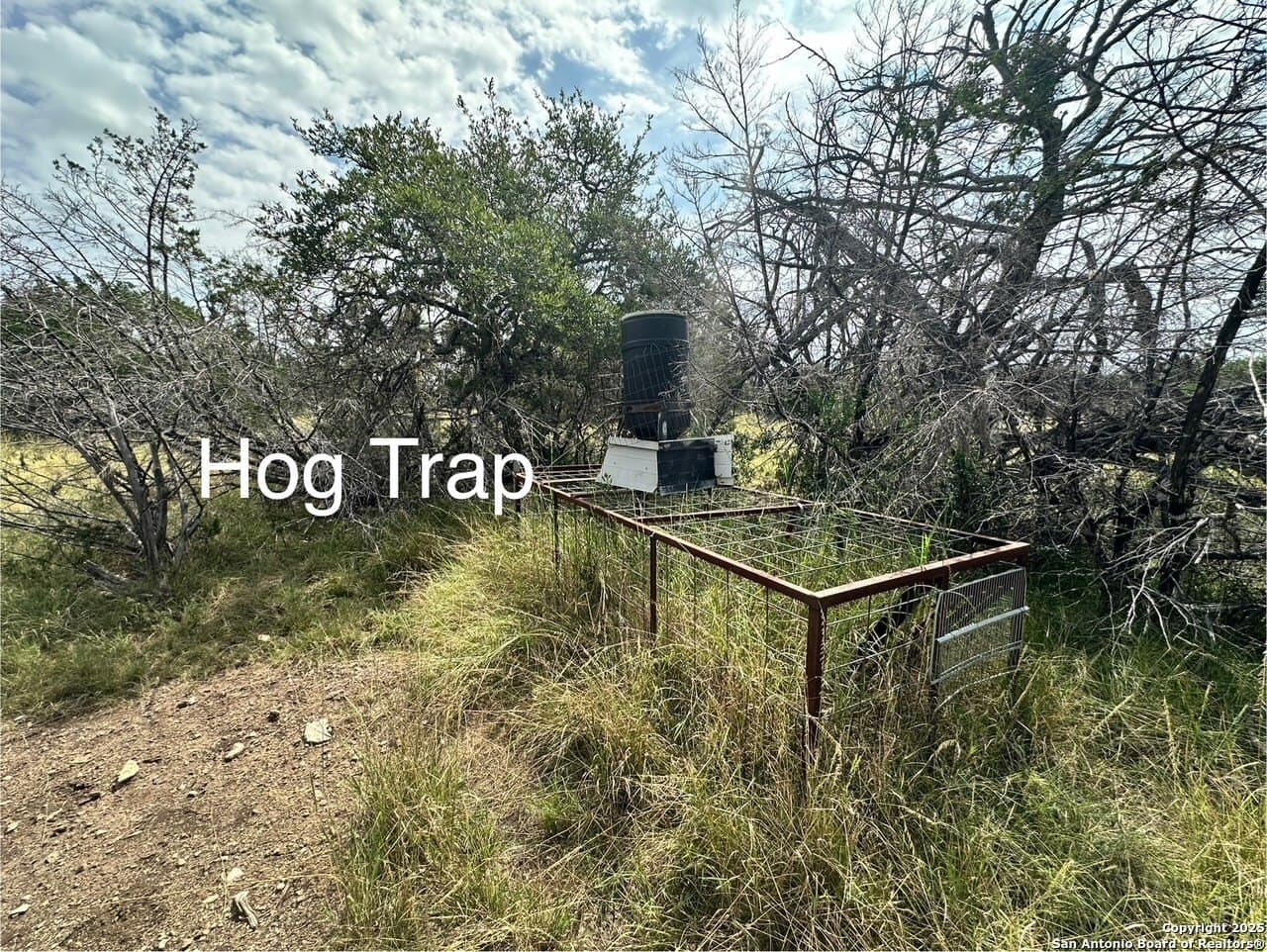 40 acres in Edwards County - photo 9