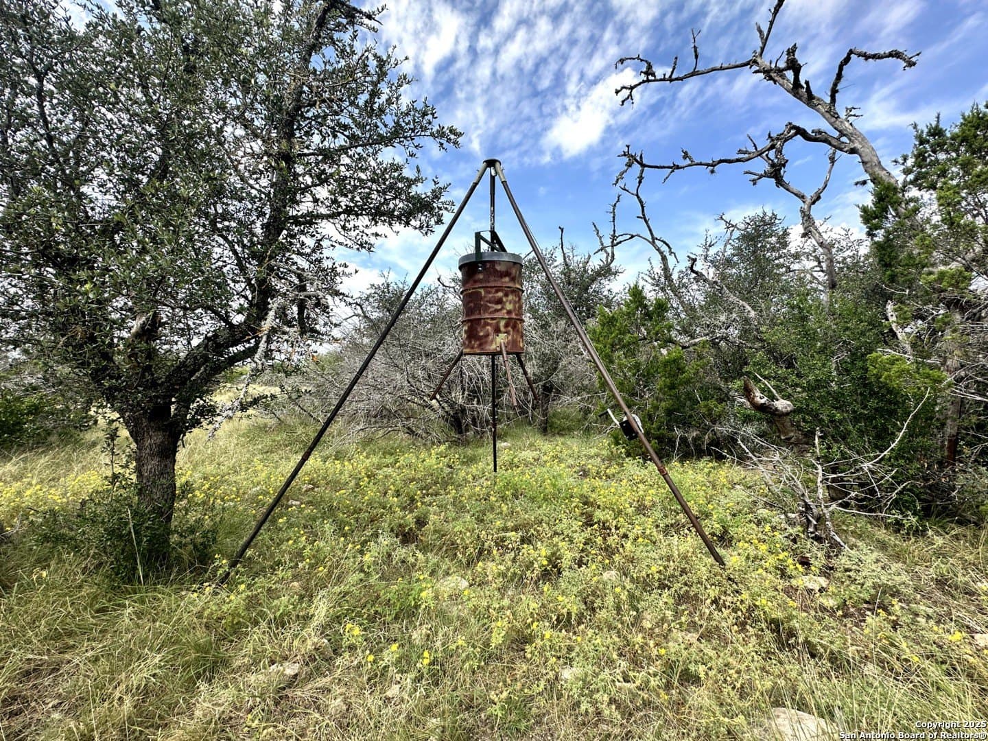 40 acres in Edwards County - photo 3