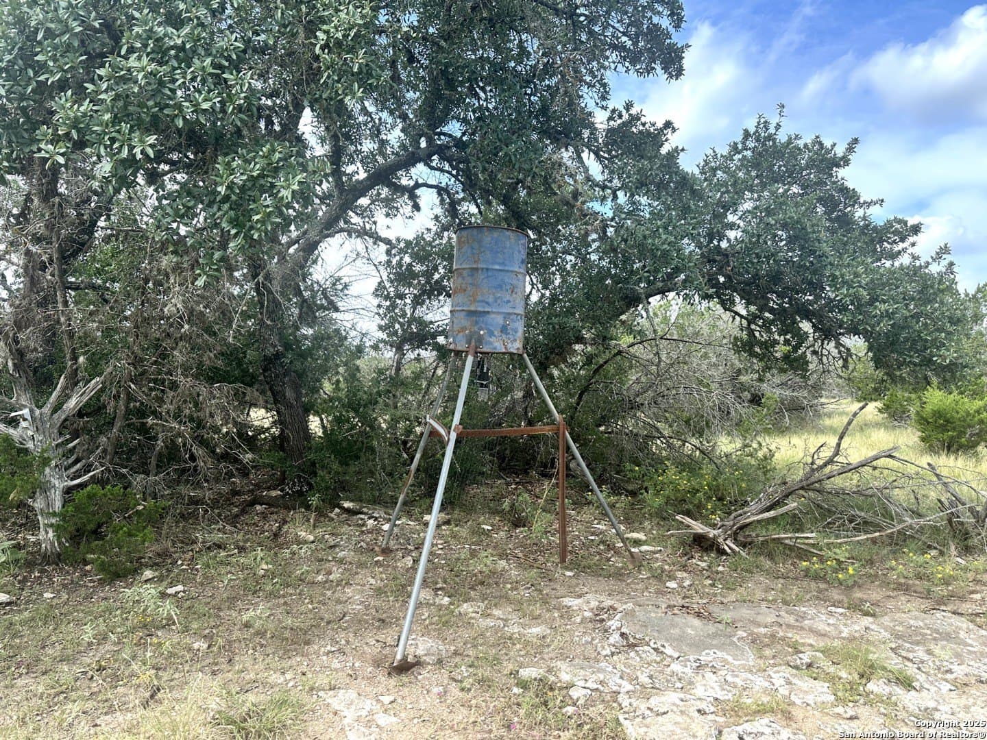 40 acres in Edwards County - photo 5