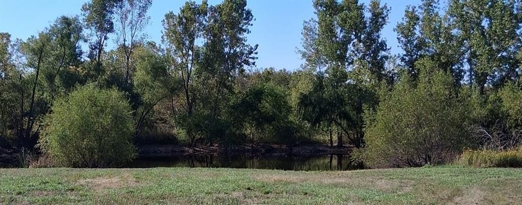 31.5 acres in Grayson County gallery image 2