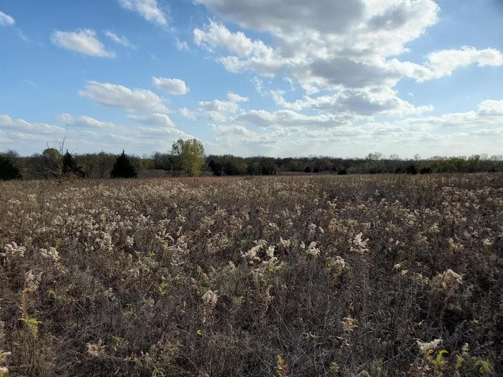 31.5 acres in Grayson County featured view