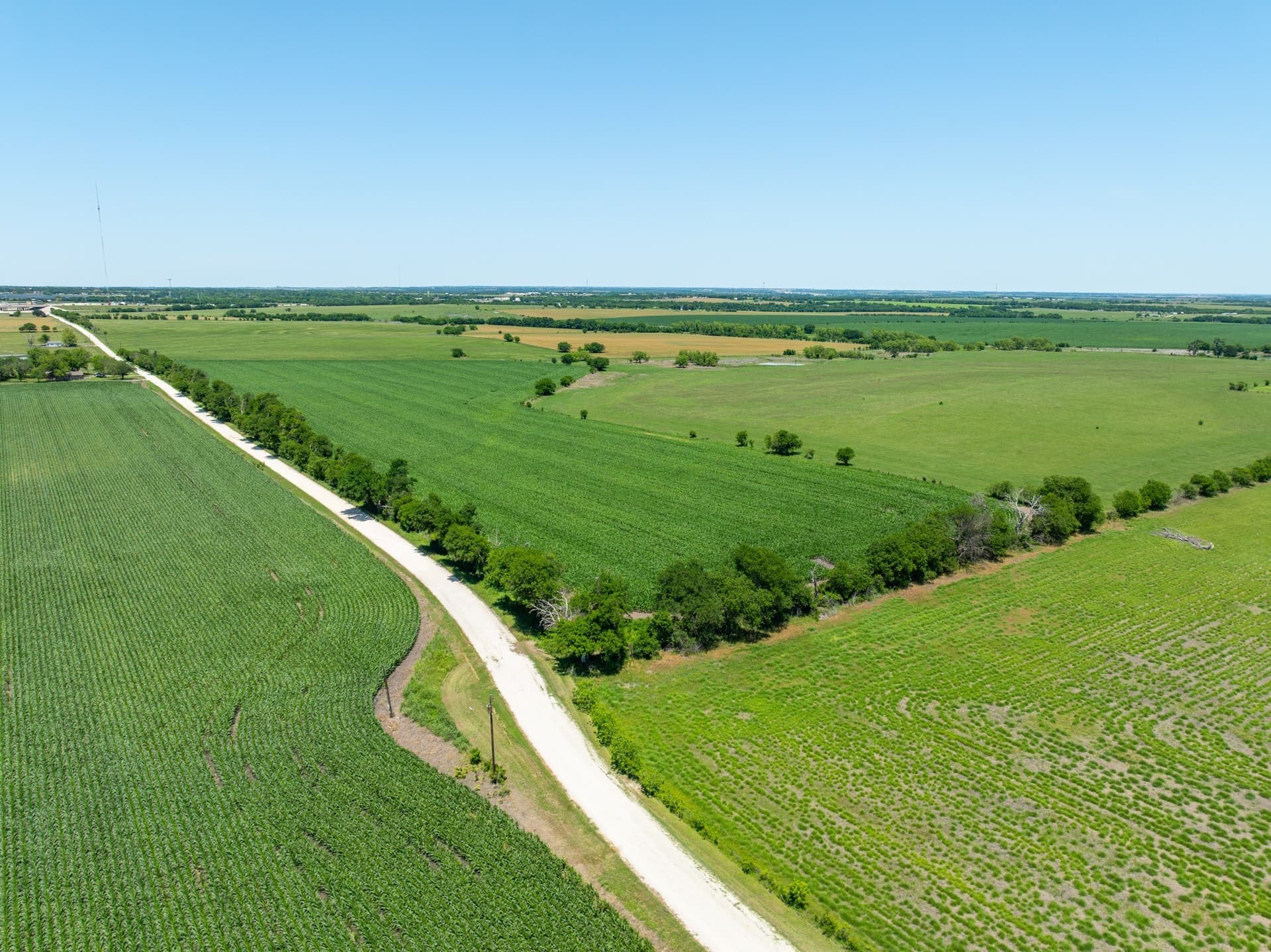 10 acres in Falls County - photo 3