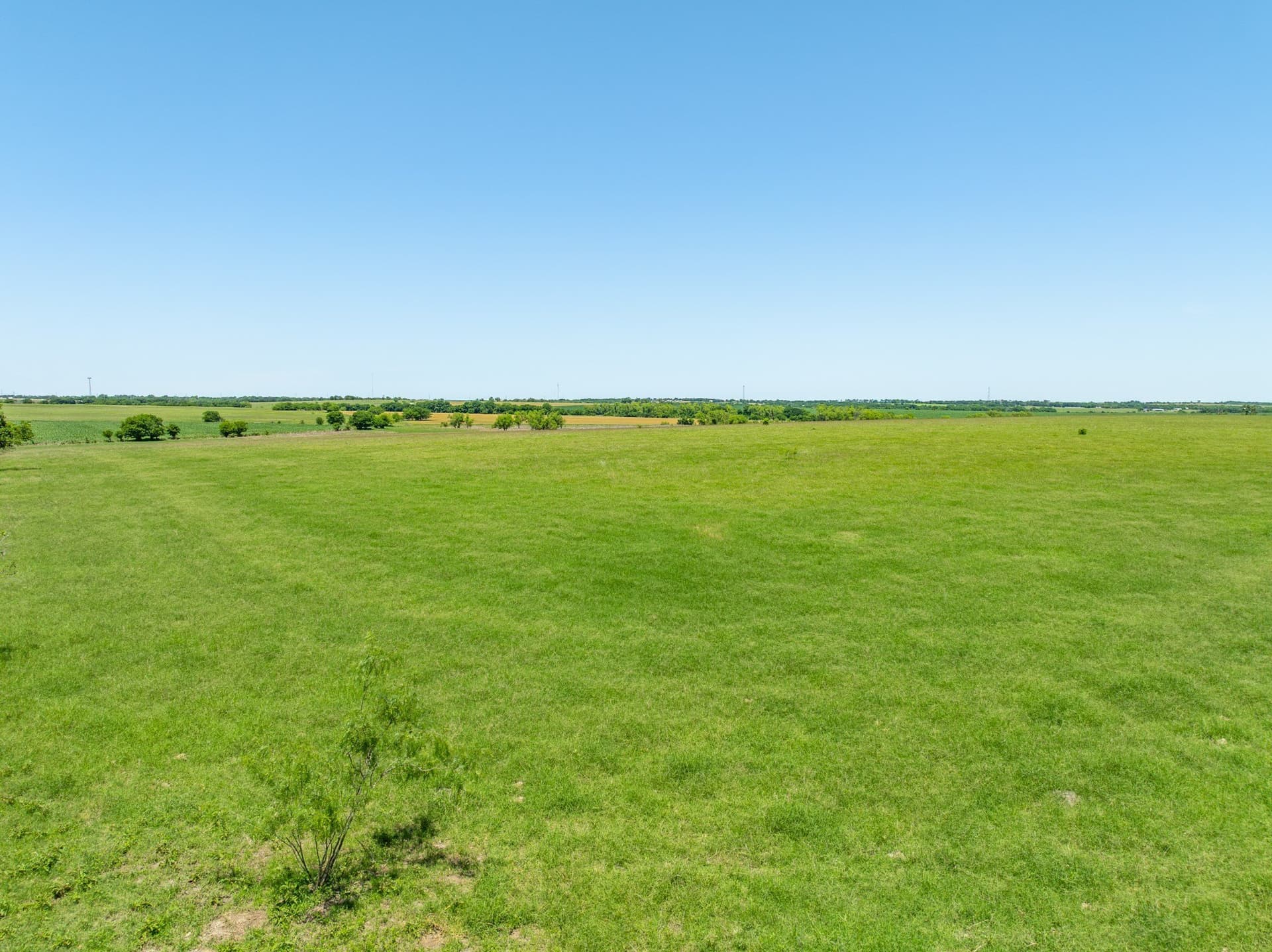 10 acres in Falls County - photo 19