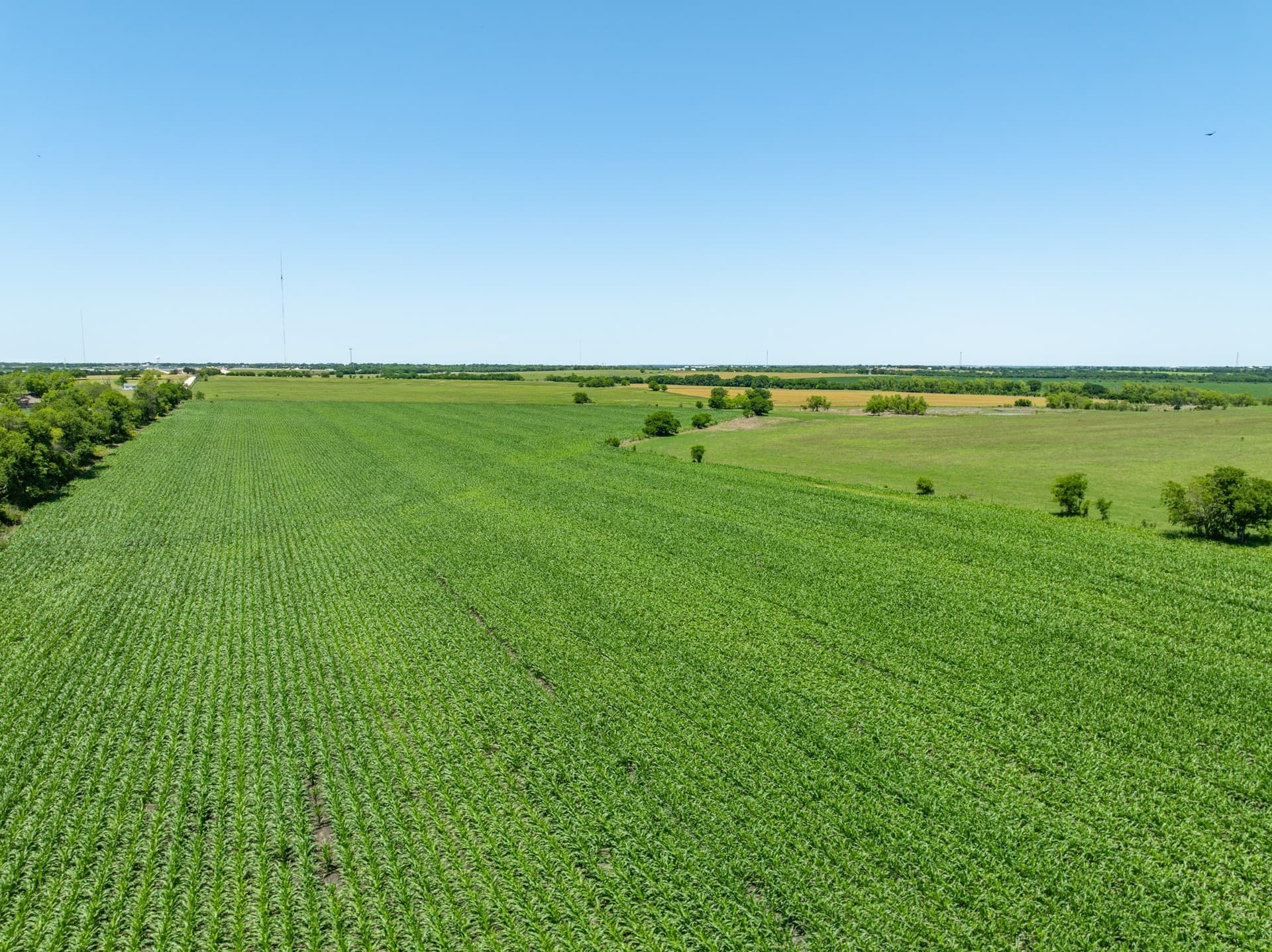 10 acres in Falls County - photo 18