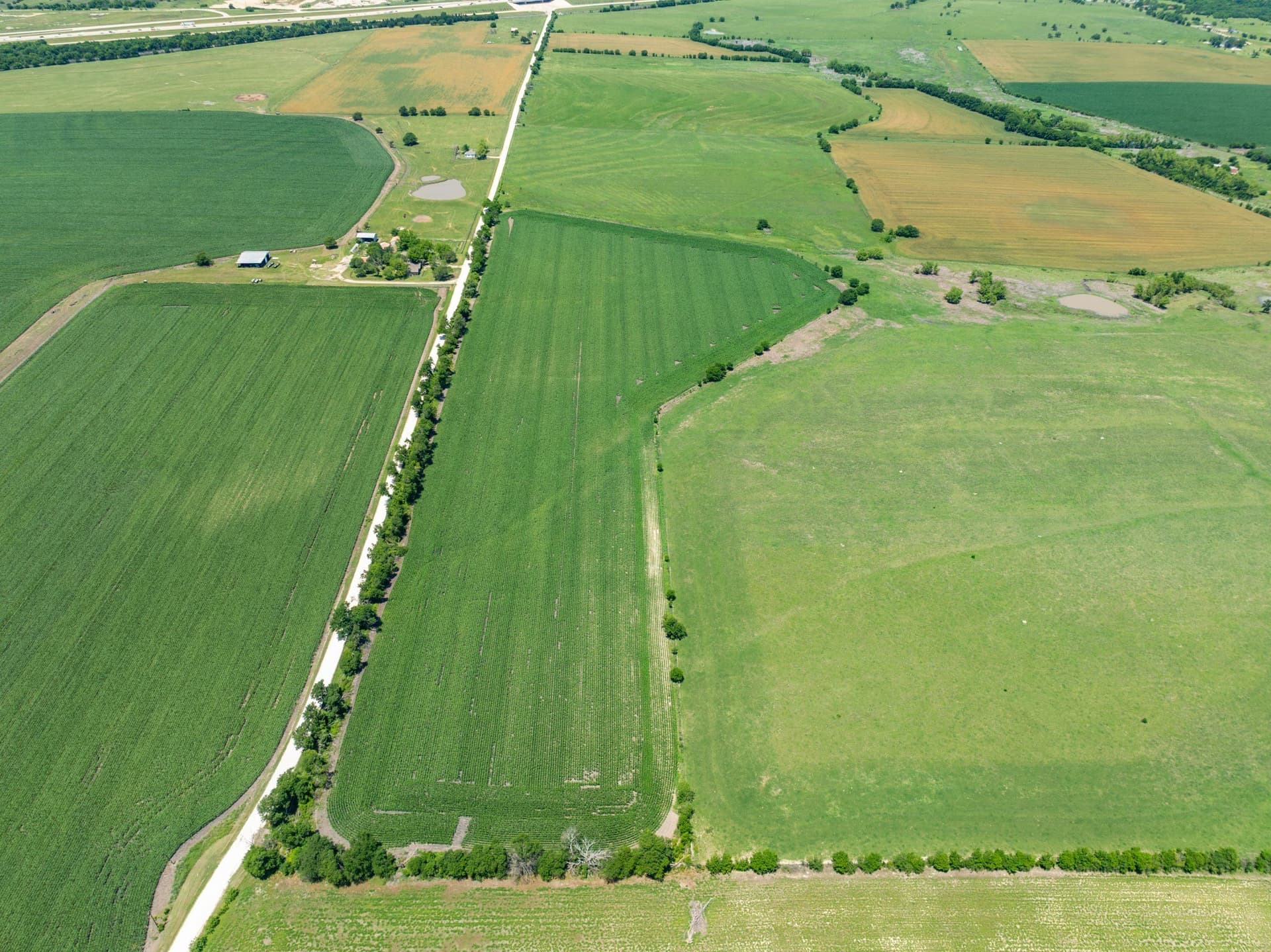 10 acres in Falls County - photo 12