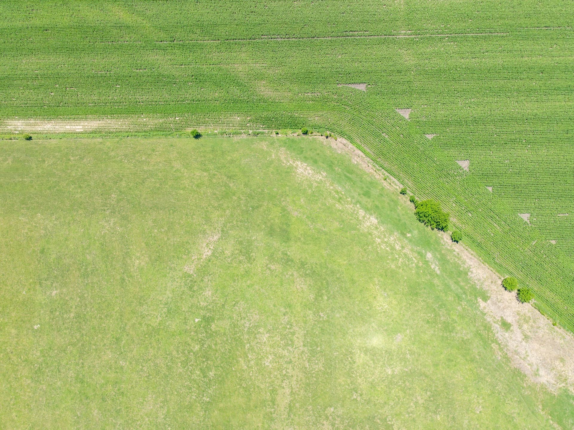 10 acres in Falls County - photo 10