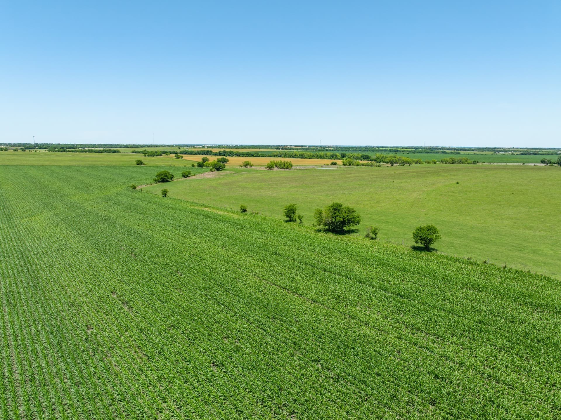 10 acres in Falls County - photo 7
