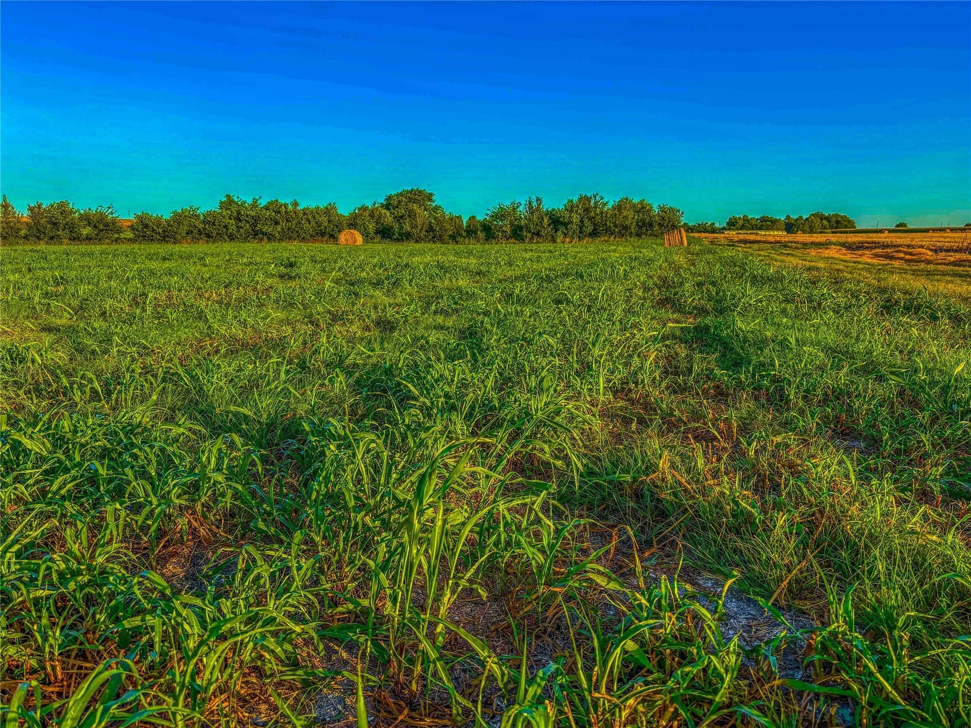 16.18 acres in Bell County - photo 16